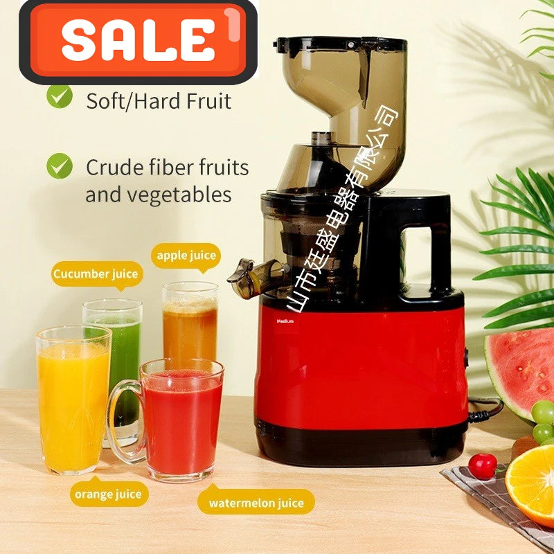 2L Stainless Steel Slow Juicer