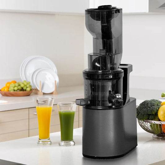 2L Stainless Steel Slow Juicer