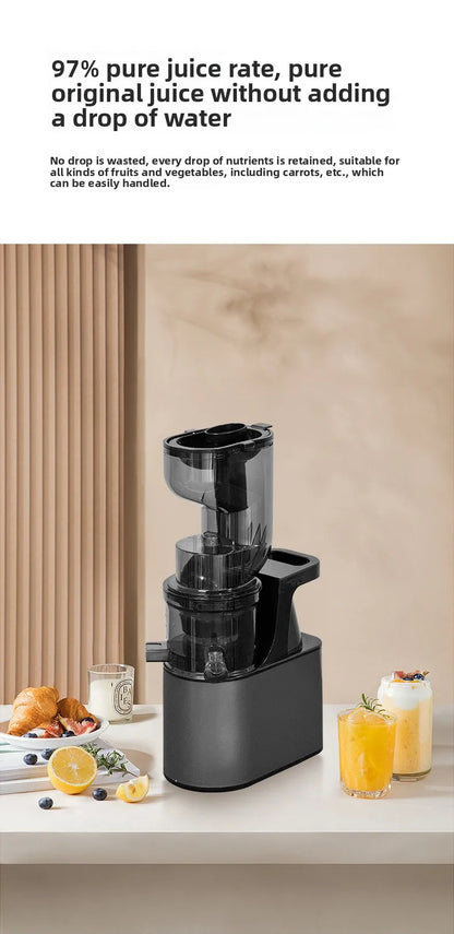 2L Stainless Steel Slow Juicer