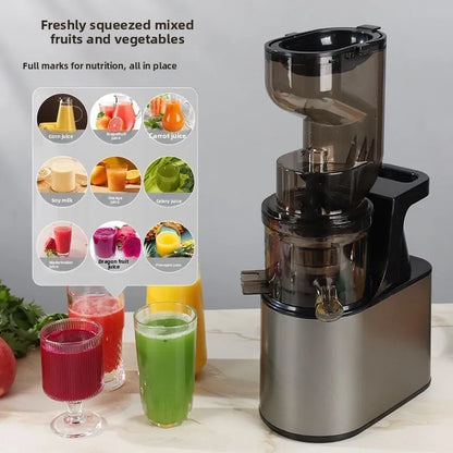 2L Stainless Steel Slow Juicer