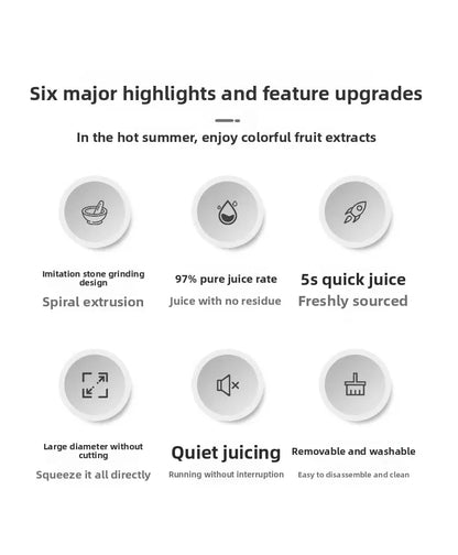 2L Stainless Steel Slow Juicer