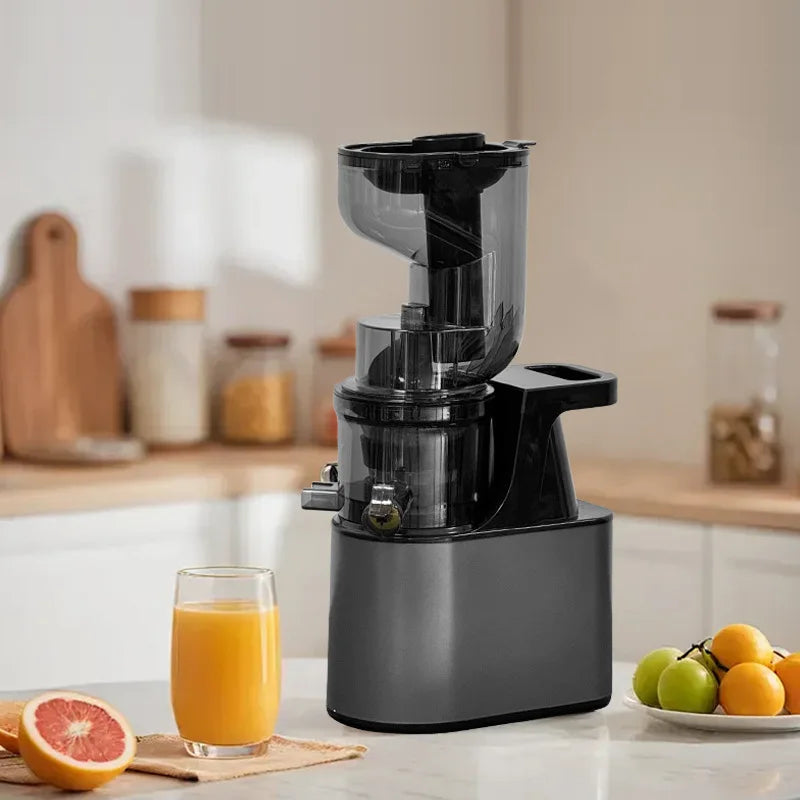 2L Stainless Steel Slow Juicer