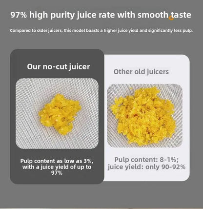 2L Stainless Steel Slow Juicer