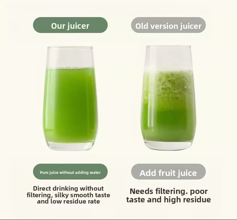 2L Stainless Steel Slow Juicer