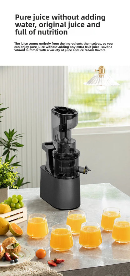 2L Stainless Steel Slow Juicer