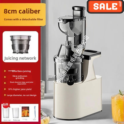 2L Stainless Steel Slow Juicer